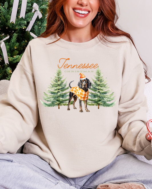 Tennessee Christmas Dog Sweatshirt – Smokey in Gingham Holiday Crewneck